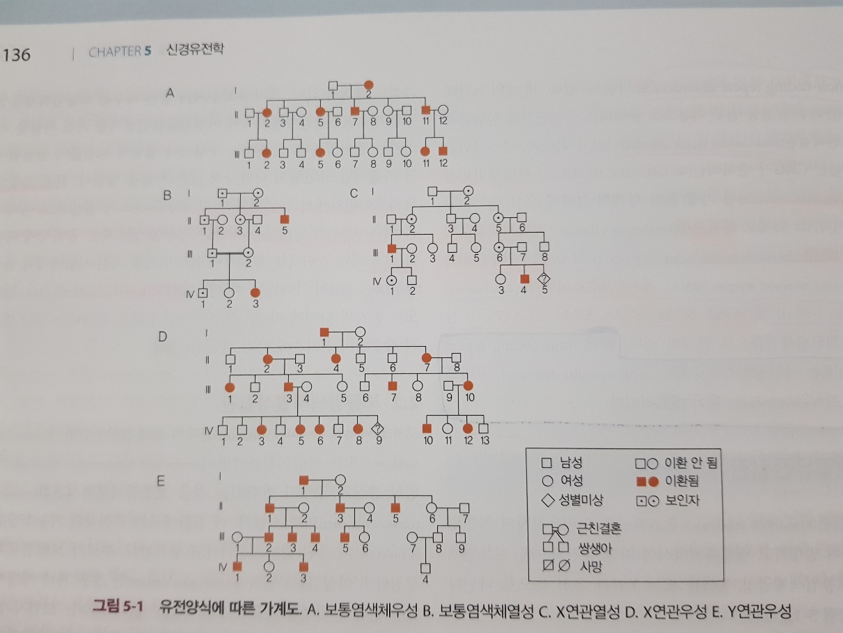 가계도 표준 기호표 1