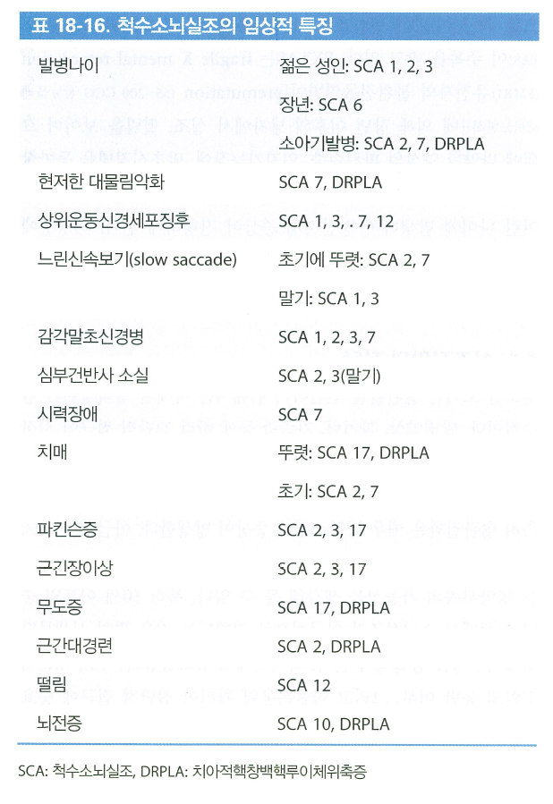 SCA 유형별 임상 특징 요약표
