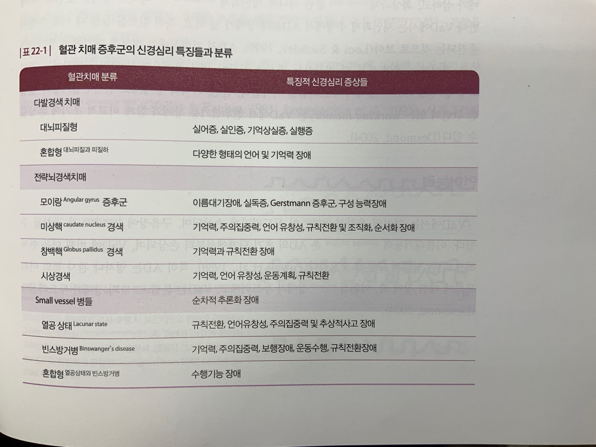 표 22-1. 혈관 치매 증후군의 신경심리 특징들과 분류
