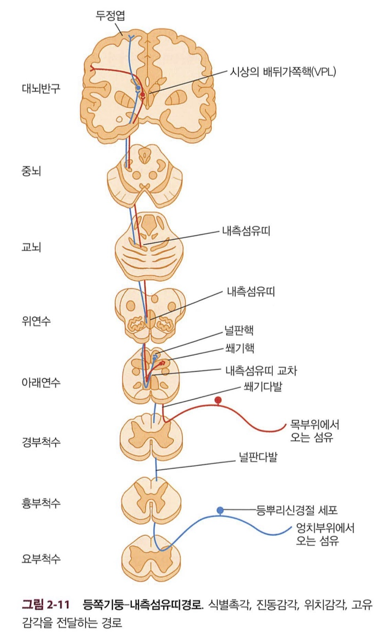 연수 구조 상세도