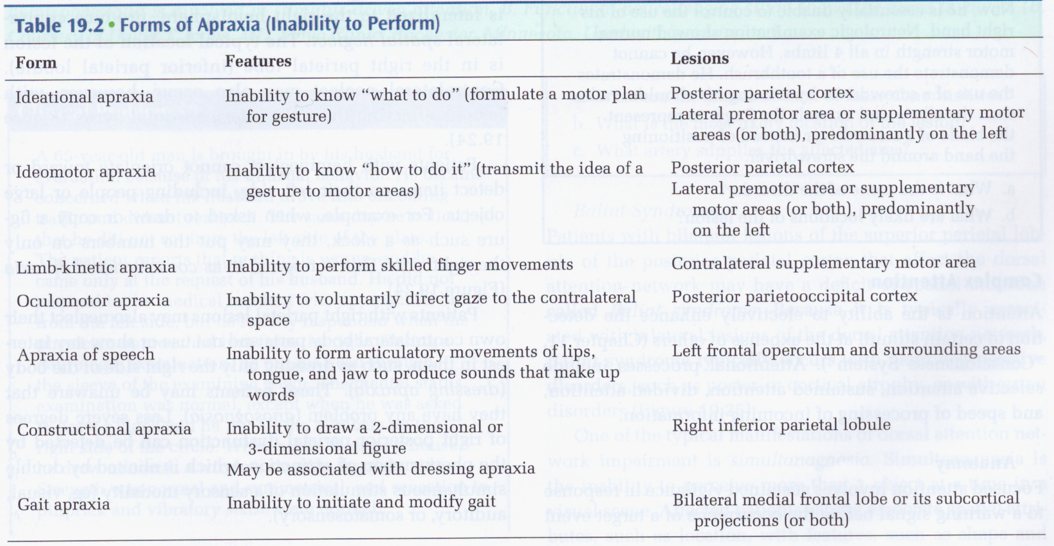 Mayo Clinic Medical Neurosciences Table 19.2: Summary of Cortical Localization of Function. Parietal lobe section shows that right-sided lesions lead to contralateral neglect, dressing apraxia, and constructional apraxia.