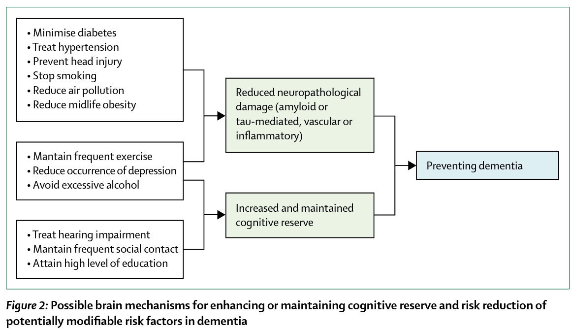 Lancet Commission 2020: Life-course model of 12 potentially modifiable risk factors for dementia