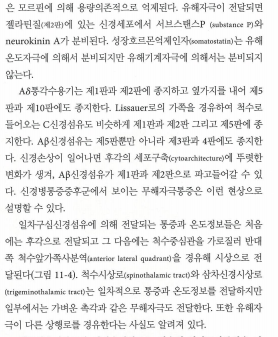 해설_이미지_2