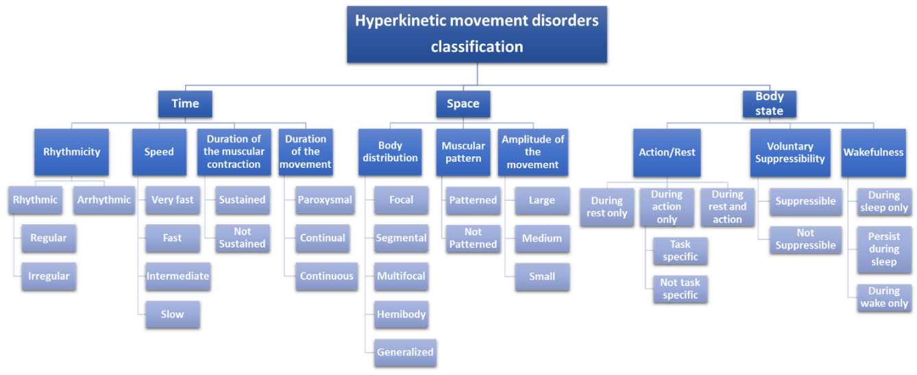 Hyperkinetic movement disorders classification 순서도: Time, Space, Body state(Action/Rest - Task specific 여부 등)에 따른 세부 분류를 보여줌