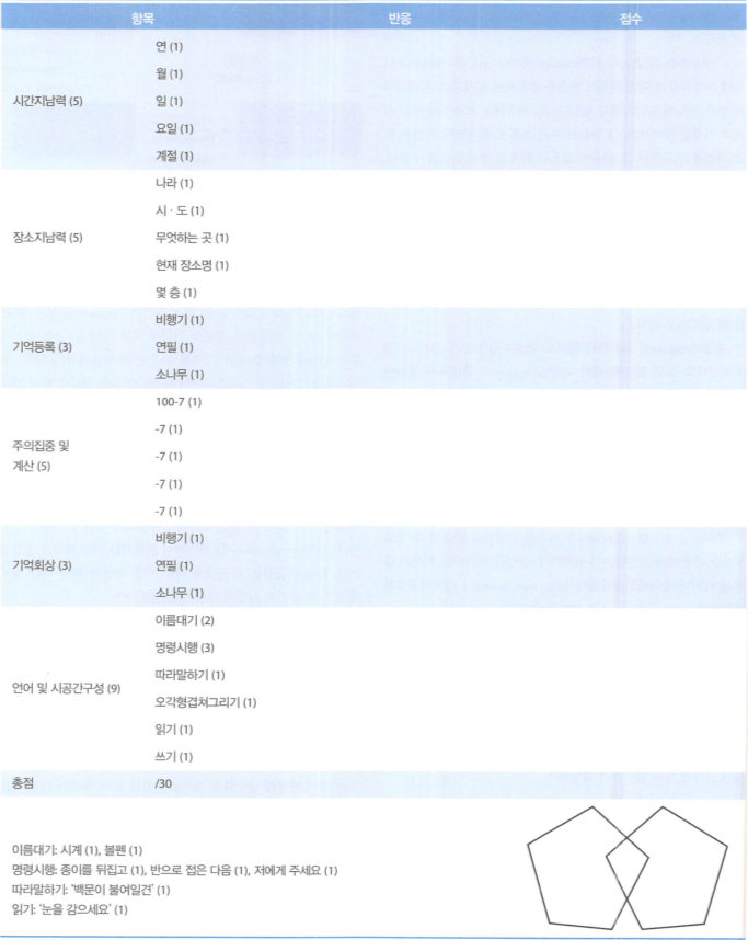 MMSE 검사지