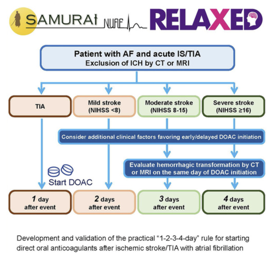 Table or Algorithm regarding the timing of oral anticoagulants after ischemic stroke in patients with atrial fibrillation.