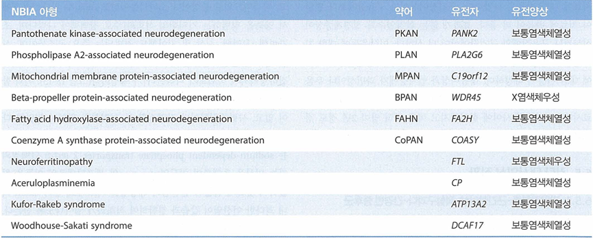 기타 NBIA 아형별 MRI 특징 요약