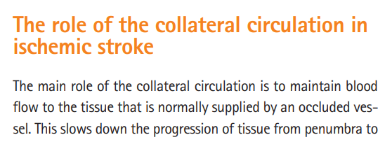 Angiographic_Grading
